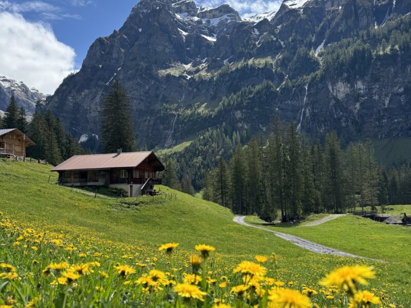 Hubs Swiss Alps